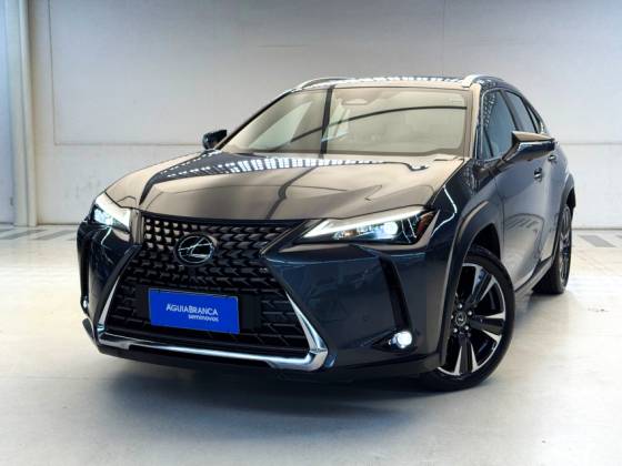 LEXUS UX 300h 2.0 VVT-I HYBRID CVT